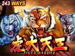 Tiger Warrior